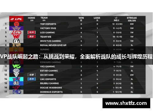 VP战队崛起之路：从挑战到荣耀，全面解析战队的成长与辉煌历程