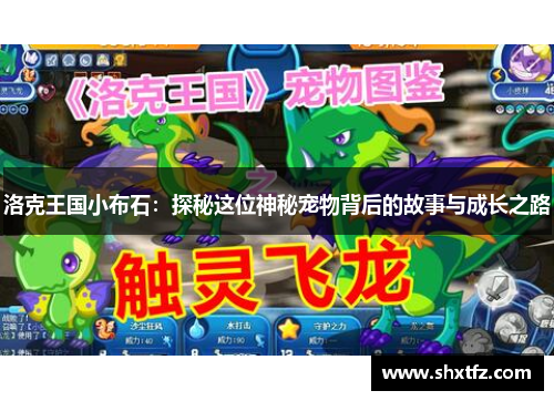 洛克王国小布石：探秘这位神秘宠物背后的故事与成长之路