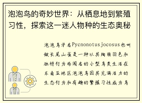 泡泡鸟的奇妙世界：从栖息地到繁殖习性，探索这一迷人物种的生态奥秘